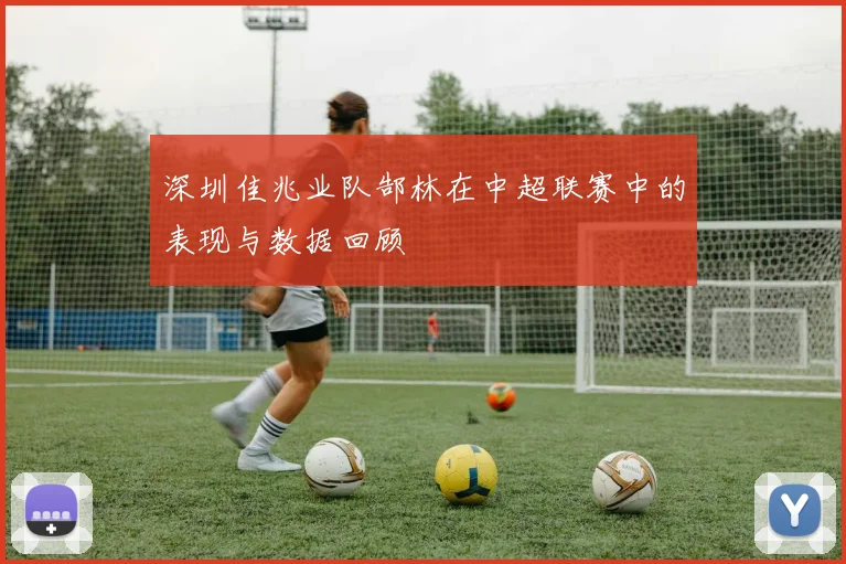 深圳佳兆业队郜林在中超联赛中的表现与数据回顾