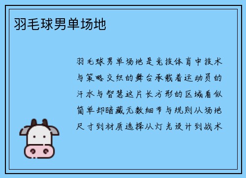 羽毛球男单场地